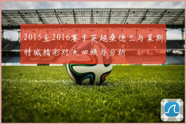 2015至2016赛季英超桑德兰与莱斯特城精彩对决回顾与分析