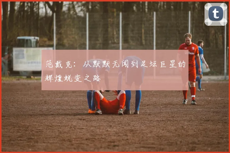 范戴克：从默默无闻到足坛巨星的辉煌蜕变之路